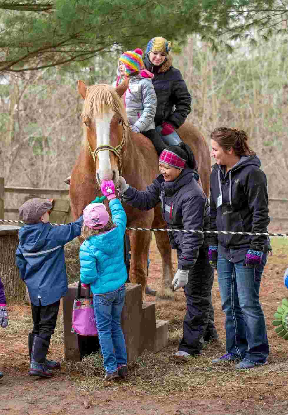 Horse riding with group